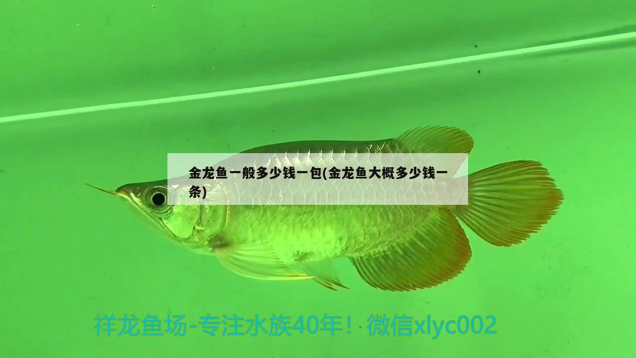 金龍魚一般多少錢一包(金龍魚大概多少錢一條)