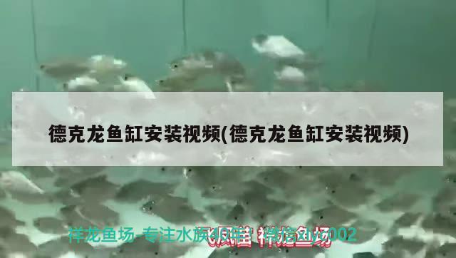 德克龍魚缸安裝視頻(德克龍魚缸安裝視頻) 黑桃A魚苗