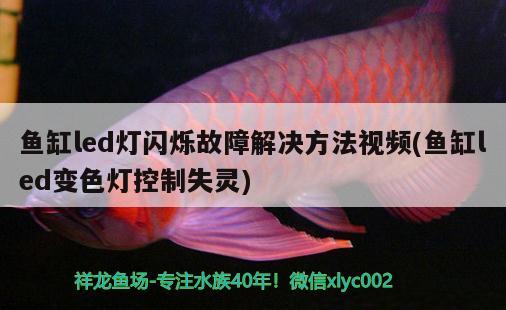 魚缸led燈閃爍故障解決方法視頻(魚缸led變色燈控制失靈)