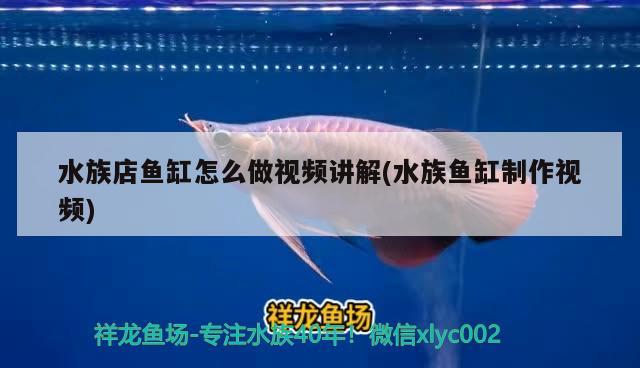 水族店魚(yú)缸怎么做視頻講解(水族魚(yú)缸制作視頻) 委內(nèi)瑞拉奧里諾三間魚(yú)