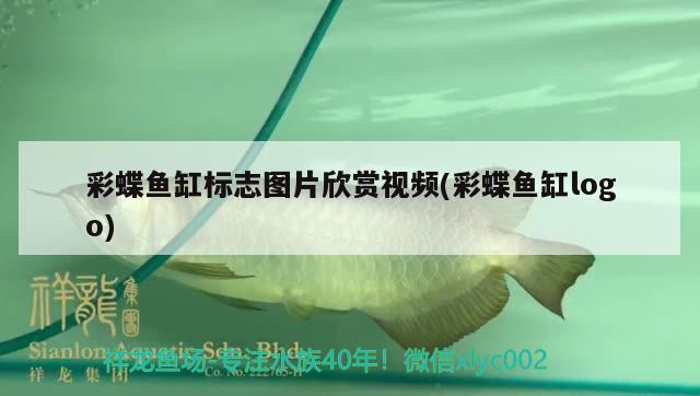 彩蝶魚缸標(biāo)志圖片欣賞視頻(彩蝶魚缸logo)