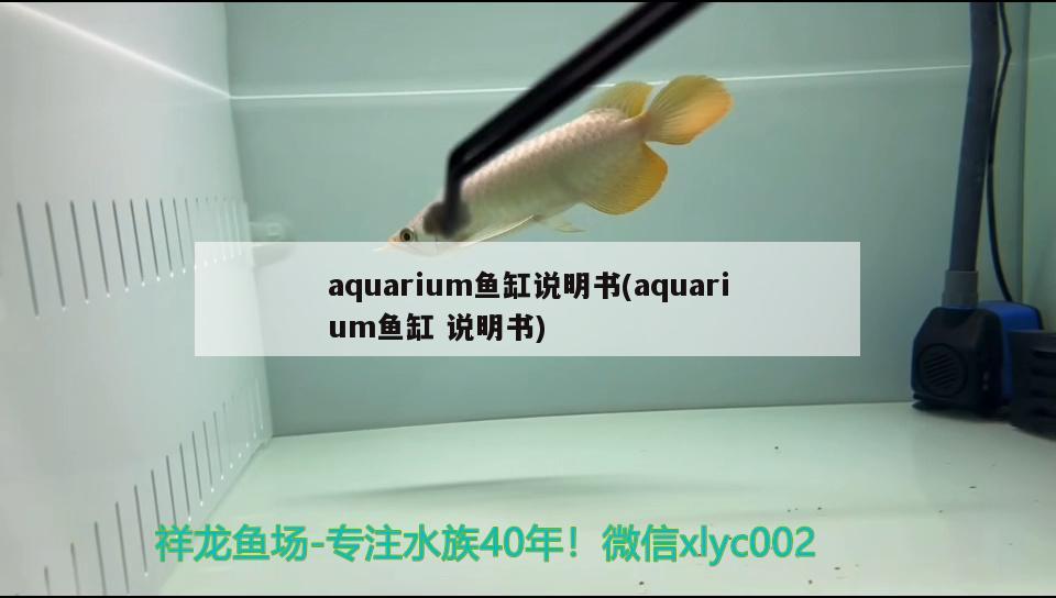 aquarium魚缸說(shuō)明書(aquarium魚缸說(shuō)明書) 杰西卡恐龍魚