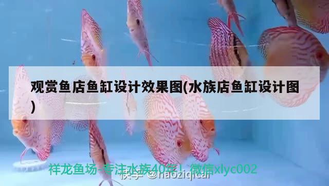 觀賞魚店魚缸設(shè)計效果圖(水族店魚缸設(shè)計圖)