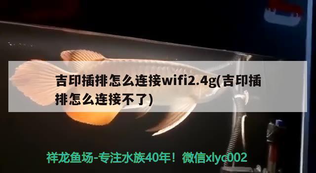 吉印插排怎么連接wifi2.4g(吉印插排怎么連接不了)