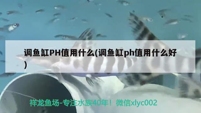 調(diào)魚(yú)缸PH值用什么(調(diào)魚(yú)缸ph值用什么好) 白子金龍魚(yú)