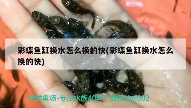 彩蝶魚缸換水怎么換的快(彩蝶魚缸換水怎么換的快) 野彩魚