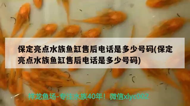 保定亮點水族魚缸售后電話是多少號碼(保定亮點水族魚缸售后電話是多少號碼)