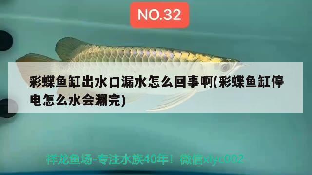 彩蝶魚(yú)缸出水口漏水怎么回事啊(彩蝶魚(yú)缸停電怎么水會(huì)漏完) 奈及利亞紅圓點(diǎn)狗頭