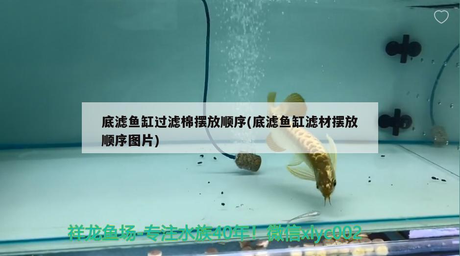 底濾魚缸過(guò)濾棉擺放順序(底濾魚缸濾材擺放順序圖片) 二氧化碳設(shè)備 第2張