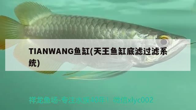 TIANWANG魚(yú)缸(天王魚(yú)缸底濾過(guò)濾系統(tǒng)) 飛鳳魚(yú)