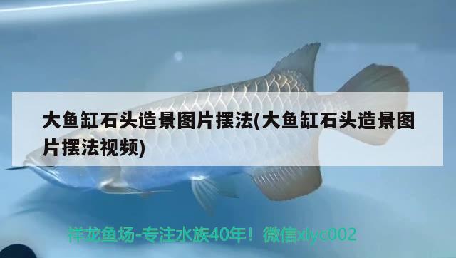 大魚缸石頭造景圖片擺法(大魚缸石頭造景圖片擺法視頻) 祥龍赫舞紅龍魚