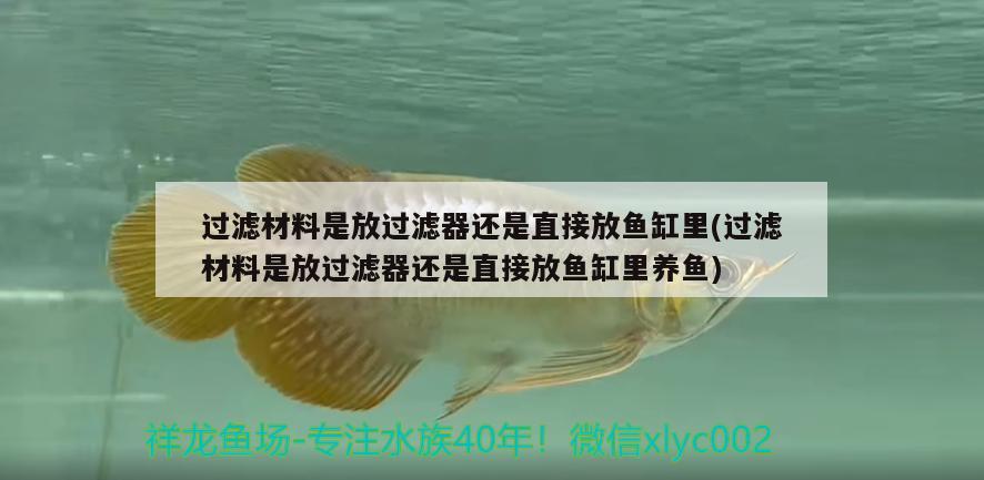 過濾材料是放過濾器還是直接放魚缸里(過濾材料是放過濾器還是直接放魚缸里養(yǎng)魚)