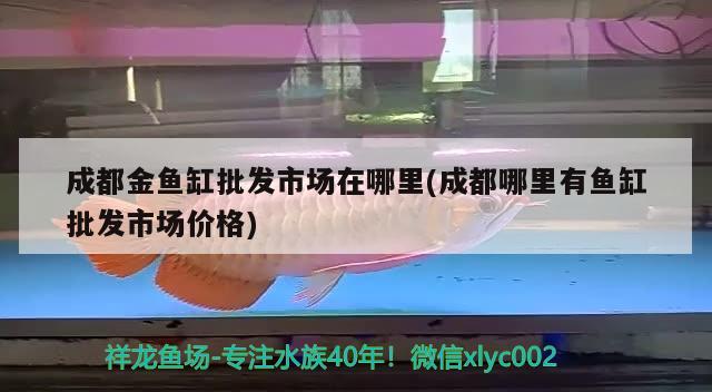 成都金魚缸批發(fā)市場在哪里(成都哪里有魚缸批發(fā)市場價格) 魚糧魚藥