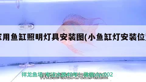 家用魚缸照明燈具安裝圖(小魚缸燈安裝位置) 紅老虎魚