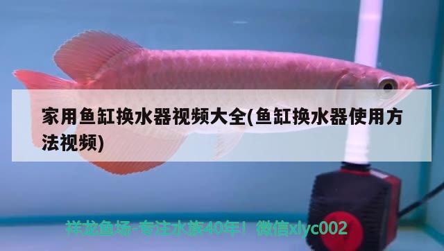 家用魚缸換水器視頻大全(魚缸換水器使用方法視頻)