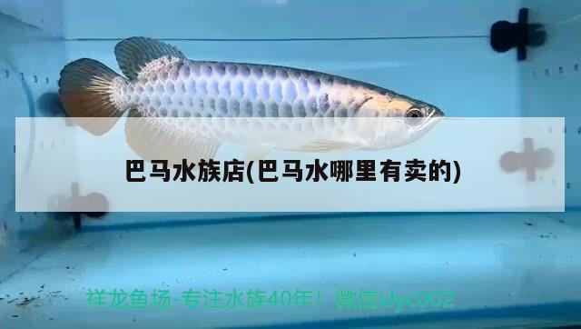 巴馬水族店(巴馬水哪里有賣的) 沖氧泵