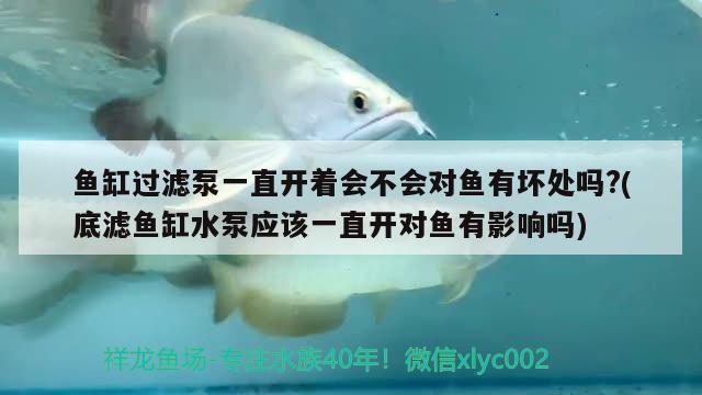 魚缸過濾泵一直開著會不會對魚有壞處嗎?(底濾魚缸水泵應(yīng)該一直開對魚有影響嗎) 魚缸水泵