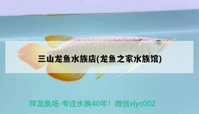 三山龍魚水族店(龍魚之家水族館) 龍魚之家