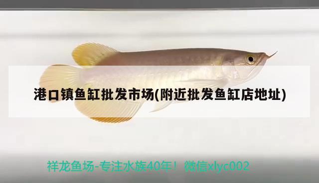 港口鎮(zhèn)魚缸批發(fā)市場(chǎng)(附近批發(fā)魚缸店地址)