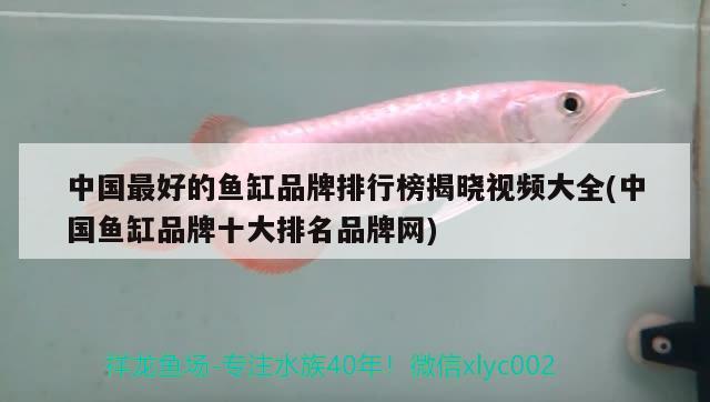 中國最好的魚缸品牌排行榜揭曉視頻大全(中國魚缸品牌十大排名品牌網(wǎng)) 魚缸凈水劑