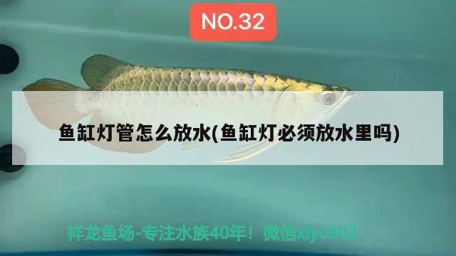 魚缸燈管怎么放水(魚缸燈必須放水里嗎)