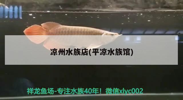 涼州水族店(平?jīng)鏊屦^) 委內(nèi)瑞拉奧里諾三間魚(yú)苗