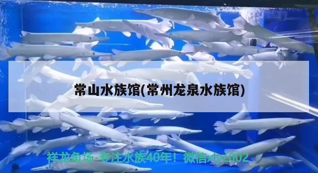 常山水族館(常州龍泉水族館) 祥龍傳奇品牌魚缸