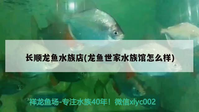 長順龍魚水族店(龍魚世家水族館怎么樣) 細(xì)線銀板魚苗