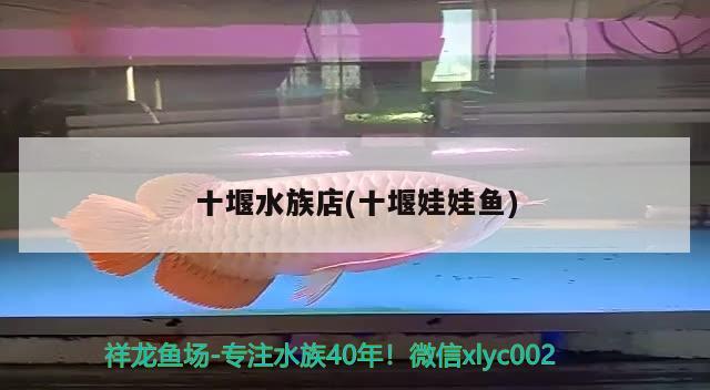 十堰水族店(十堰娃娃魚) 龍魚專用燈