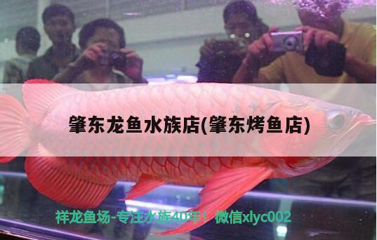 肇東龍魚水族店(肇東烤魚店) 胭脂孔雀龍魚