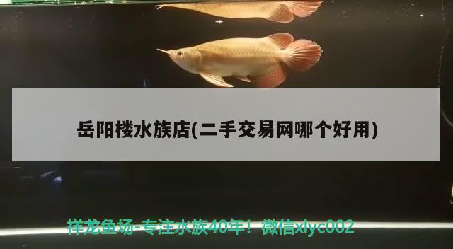 岳陽樓水族店(二手交易網(wǎng)哪個好用)