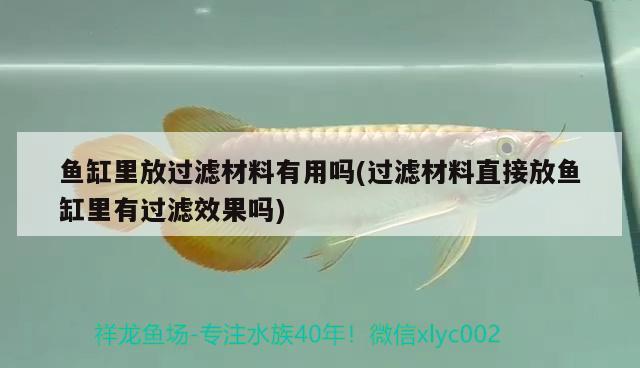 魚(yú)缸里放過(guò)濾材料有用嗎(過(guò)濾材料直接放魚(yú)缸里有過(guò)濾效果嗎) 麥肯斯銀版魚(yú)