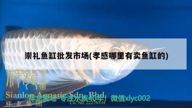 崇禮魚缸批發(fā)市場(孝感哪里有賣魚缸的) 帝王迷宮