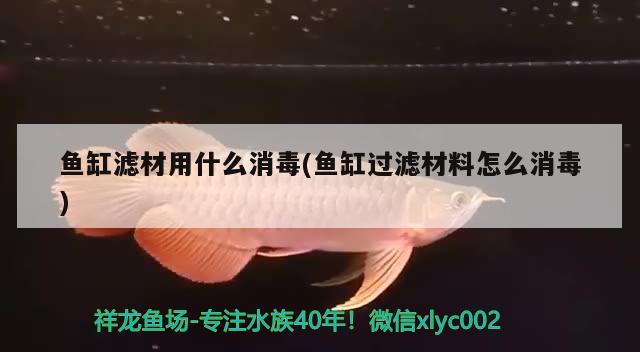 魚缸濾材用什么消毒(魚缸過濾材料怎么消毒) 其他益生菌