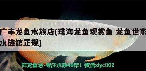 廣豐龍魚水族店(珠海龍魚觀賞魚龍魚世家水族館正規(guī))