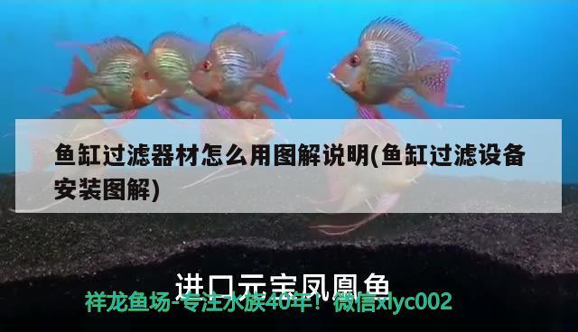 魚缸過濾器材怎么用圖解說明(魚缸過濾設(shè)備安裝圖解) 過濾設(shè)備