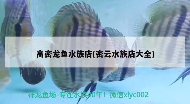 高密龍魚水族店(密云水族店大全) 狗頭魚