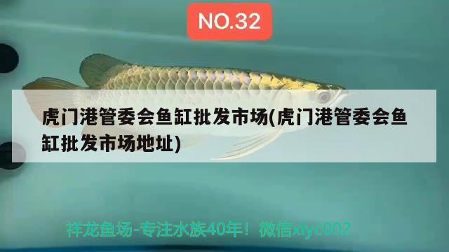 虎門港管委會魚缸批發(fā)市場(虎門港管委會魚缸批發(fā)市場地址) 魚糧魚藥 第1張