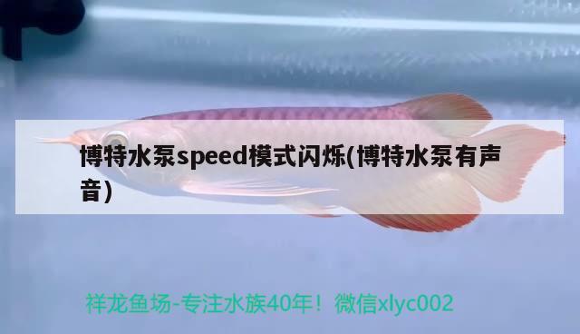 博特水泵speed模式閃爍(博特水泵有聲音) 垂釣樂園