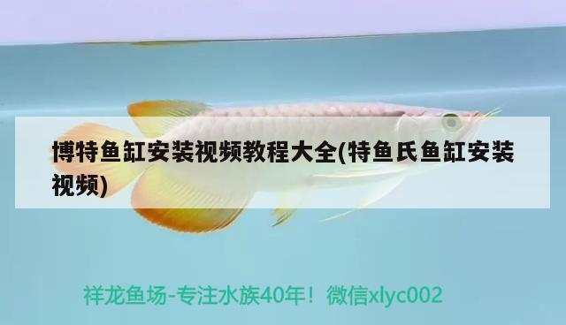 博特魚(yú)缸安裝視頻教程大全(特魚(yú)氏魚(yú)缸安裝視頻)