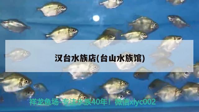 漢臺(tái)水族店(臺(tái)山水族館) 稀有紅龍品種