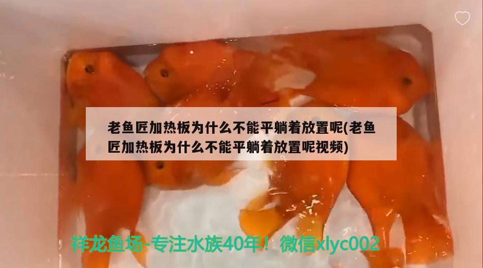 老魚匠加熱板為什么不能平躺著放置呢(老魚匠加熱板為什么不能平躺著放置呢視頻) 老魚匠