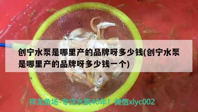 創(chuàng)寧水泵是哪里產(chǎn)的品牌呀多少錢(qián)(創(chuàng)寧水泵是哪里產(chǎn)的品牌呀多少錢(qián)一個(gè))