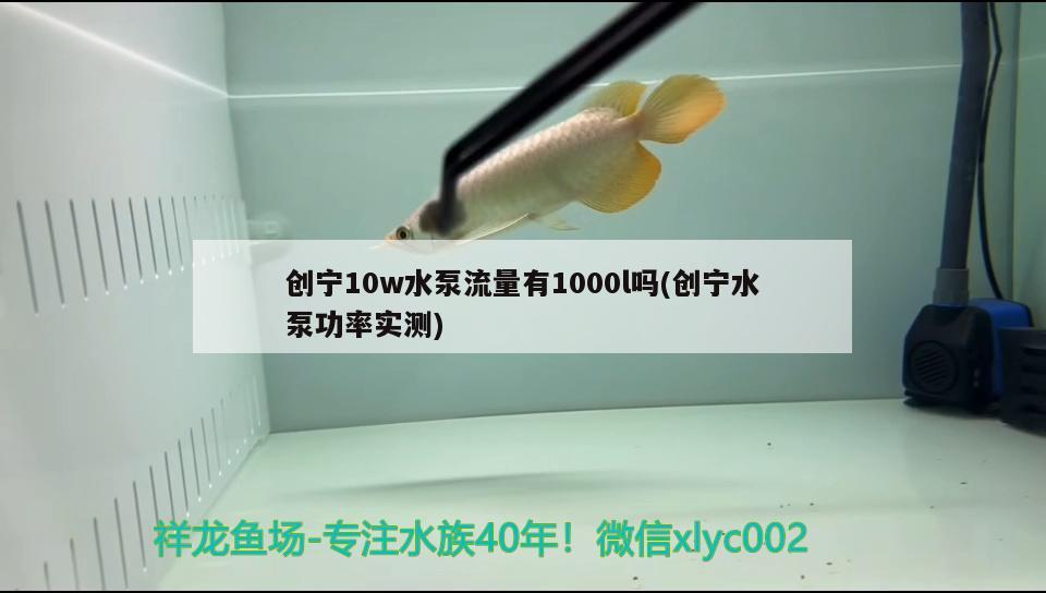 創(chuàng)寧10w水泵流量有1000l嗎(創(chuàng)寧水泵功率實測)