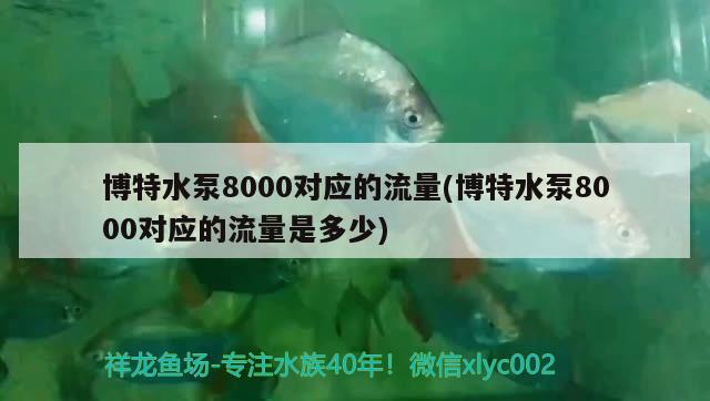 博特水泵8000對(duì)應(yīng)的流量(博特水泵8000對(duì)應(yīng)的流量是多少) 博特水族