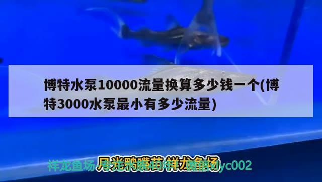 博特水泵10000流量換算多少錢一個(博特3000水泵最小有多少流量) 博特水族