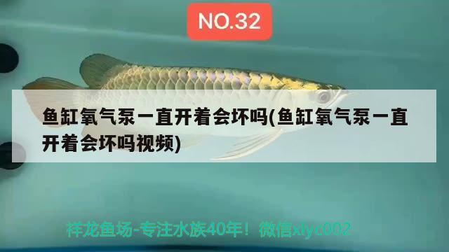 魚缸氧氣泵一直開著會(huì)壞嗎(魚缸氧氣泵一直開著會(huì)壞嗎視頻) 水草