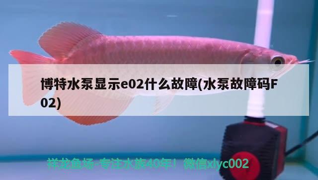 博特水泵顯示e02什么故障(水泵故障碼F02) 博特水族