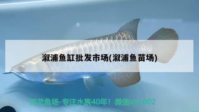 溆浦魚缸批發(fā)市場(chǎng)(溆浦魚苗場(chǎng))