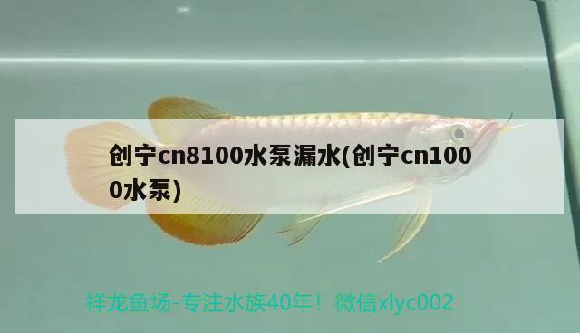 創(chuàng)寧cn8100水泵漏水(創(chuàng)寧cn1000水泵)